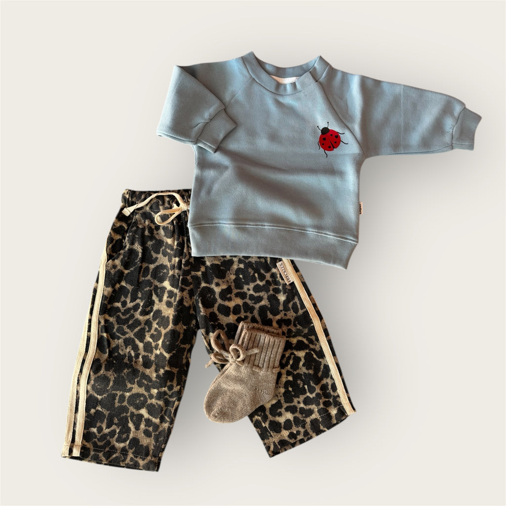 Sweatshirt lieveheersbeestje