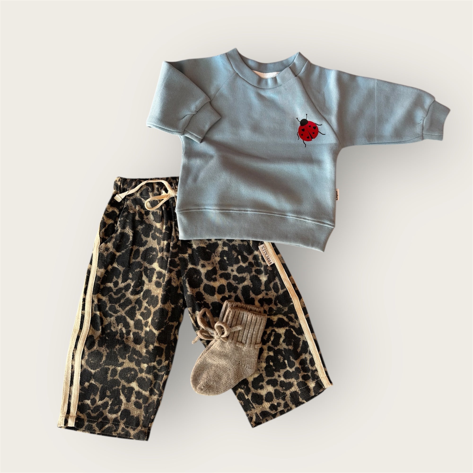 Sweatshirt lieveheersbeestje