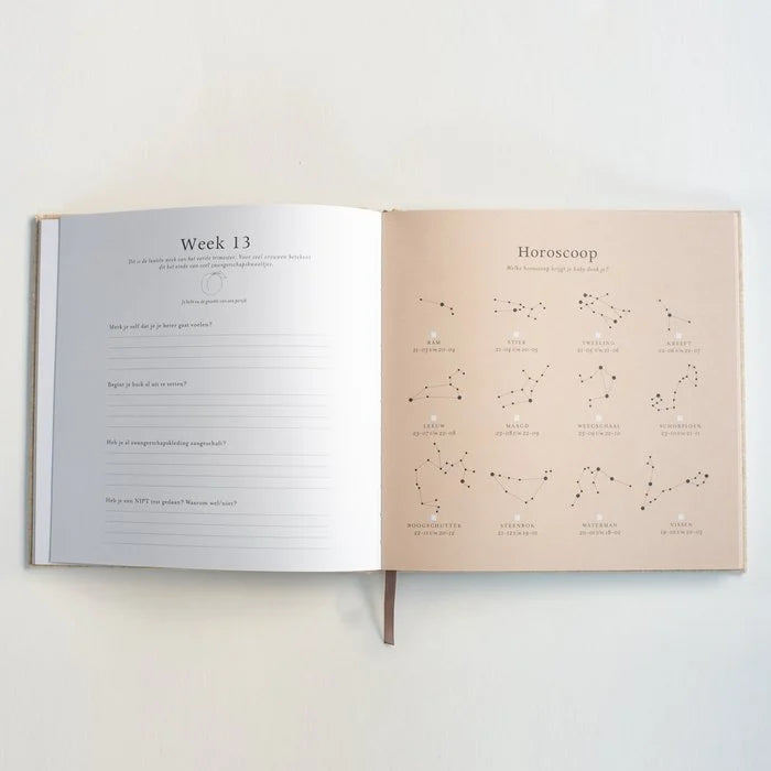 Mijn 9 maanden invulboek